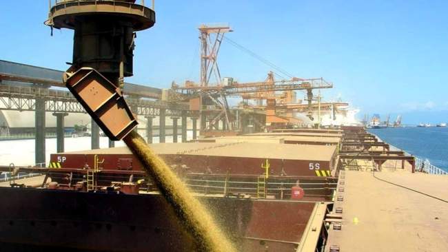 ФОТО: agropolit.com