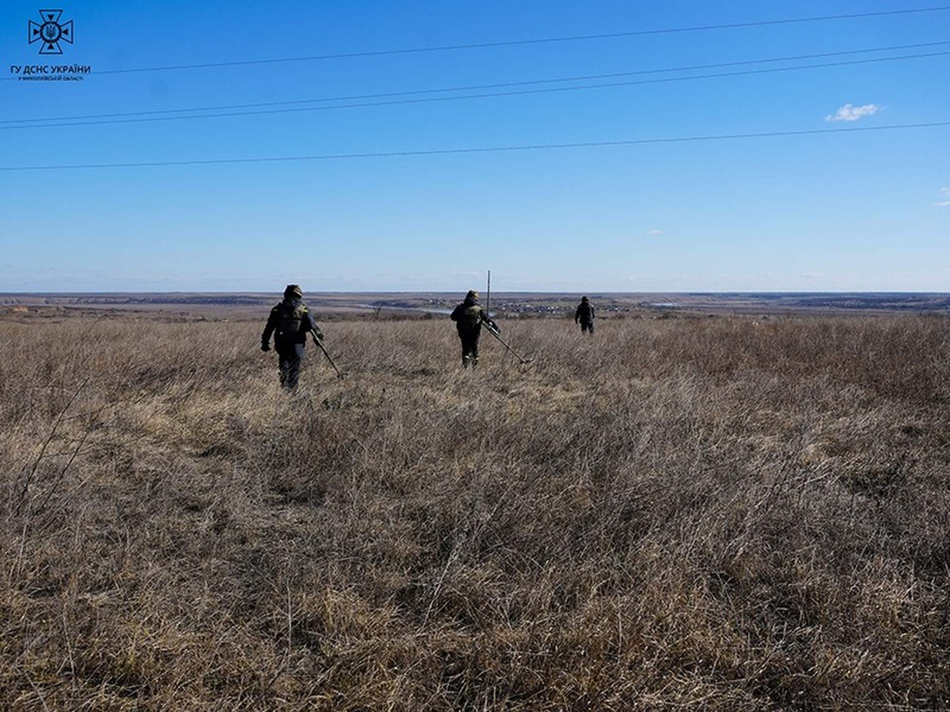 На Миколаївщині пастух підірвався на міні