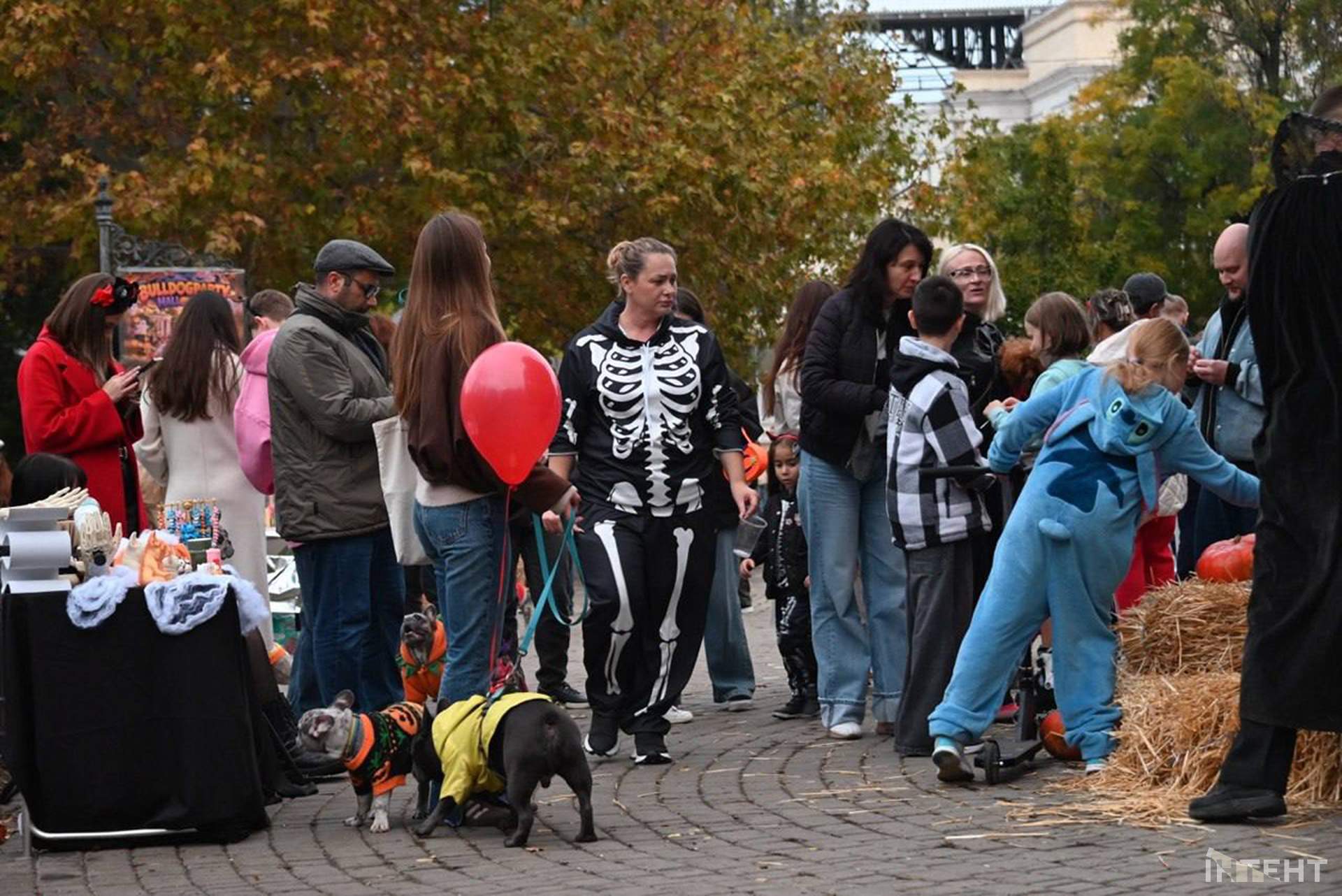 В Одесі відбулася Halloween-вечірка собак
