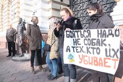 Нардеп-одессит предлагает сажать «догхантеров» в тюрьму 