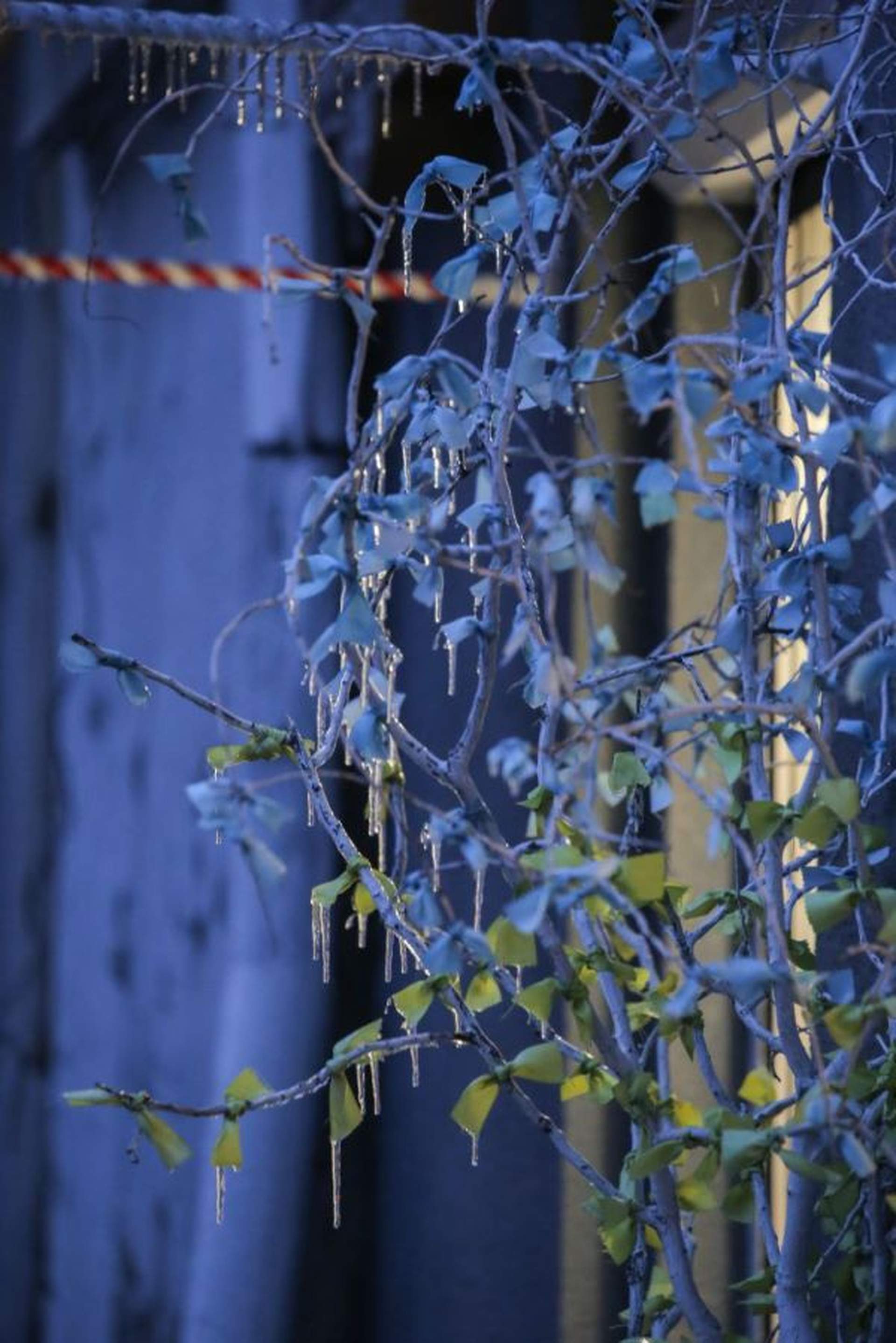 В Одесу завітала зима