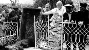 Миколаївський зоопарк показав архівні фотографії з часу свого заснування