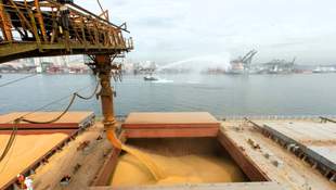 Депутата Миколаївської міськради судили за шахрайство з зерном на 800 тисяч доларів