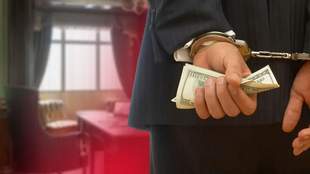 Deputy director of a park in Mykolaiv region remains under suspicion of bribery