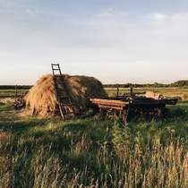 agriculture