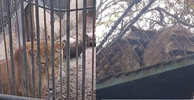 PHOTO COLLAGE: Intent