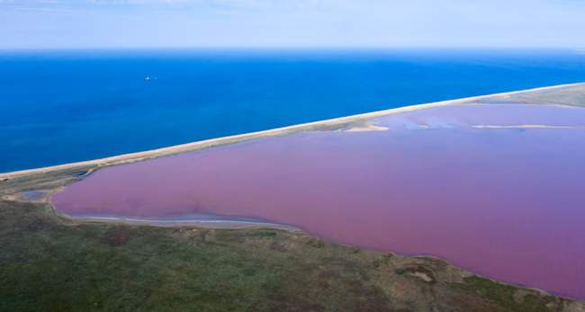 Фото: Крим.Реалії/Опуський природний заповідник