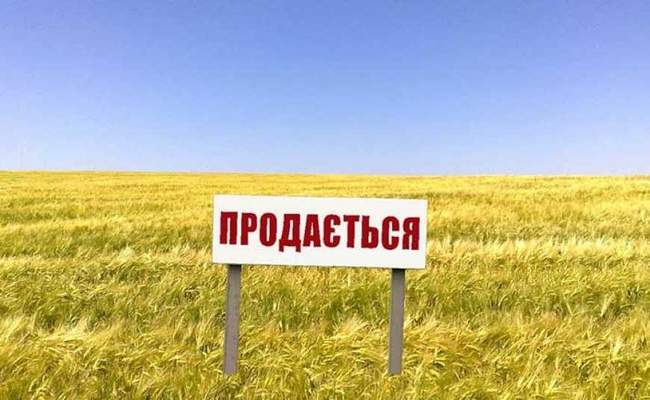 За три роки на Миколаївщині продали понад 26 тисяч гектарів землі