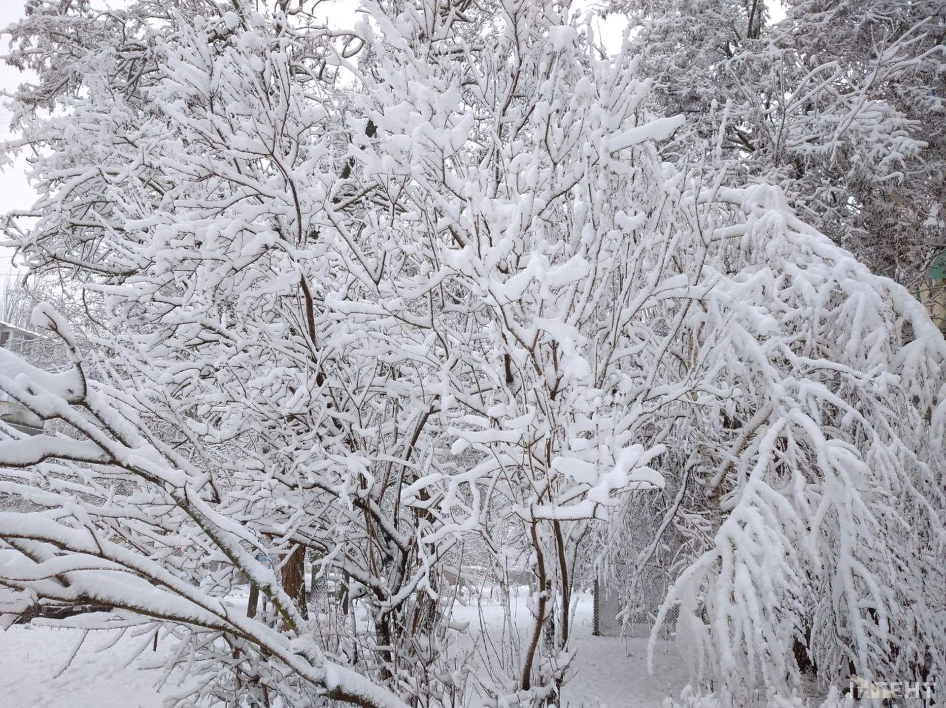 Зимова казка