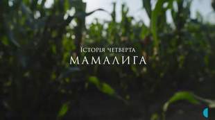 Їсторія південної Бессарабії: Мамалига з Новосельського