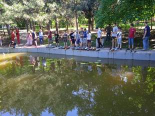 Судномоделісти змагались в одеському парку Перемоги