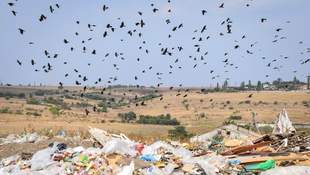 Mykolaiv has updated its waste sorting and recycling system
