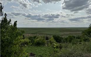 Биолог назвал животных, заселивших дно Каховского водохранилища