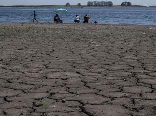 Система охорони здоровʼя Одещини працює у підвищеному режимі, - ОВА