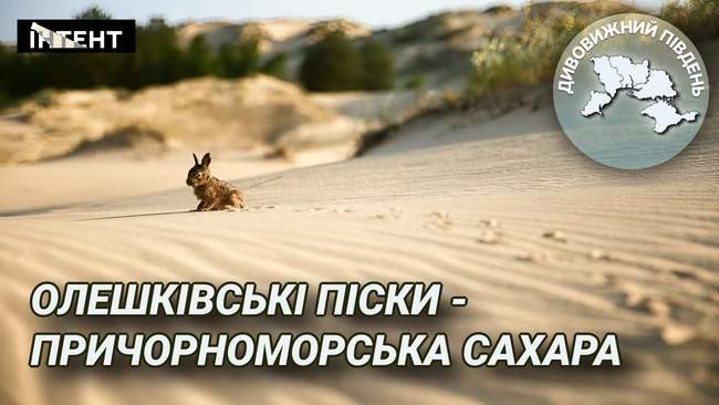Дивовижний Південь: Олешківські піски - причорноморська Сахара