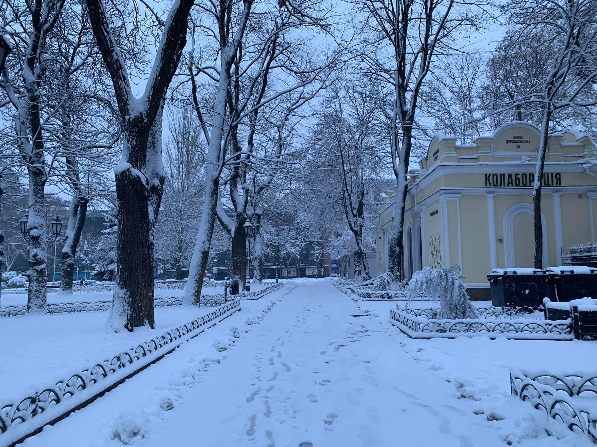 Одесу завалює снігом