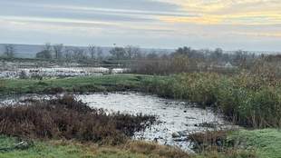 Экологическая инспекция обвинила городской совет Болграда в равнодушии к сбросам канализации