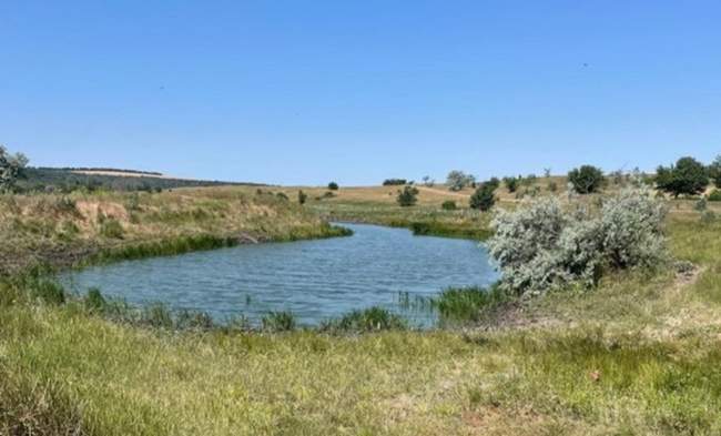 Фото: Нацполіція в Одеській області