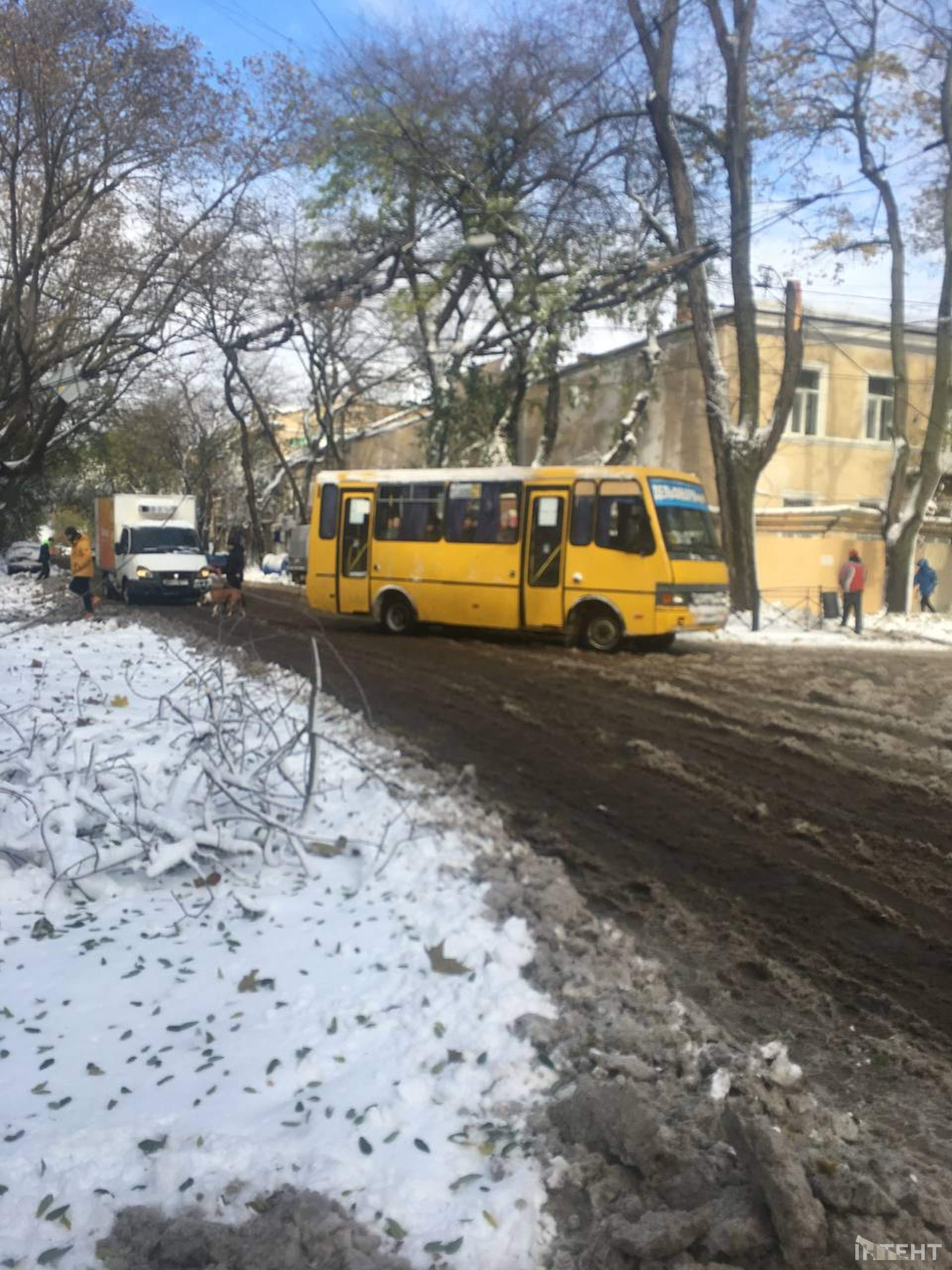 Повалені дерева та засніжена Одеса у світлинах Інтента