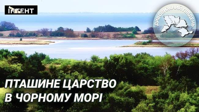 Дивовижний Південь: Чорноморський біосферний заповідник - між степом і морем
