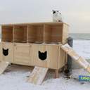 Как усатые жители Лузановки справляли новоселье