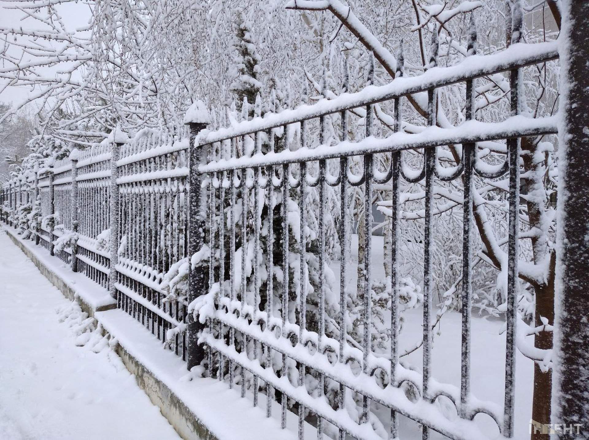 Зимова казка