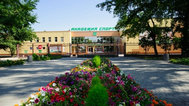 «Фестиваль спорта»