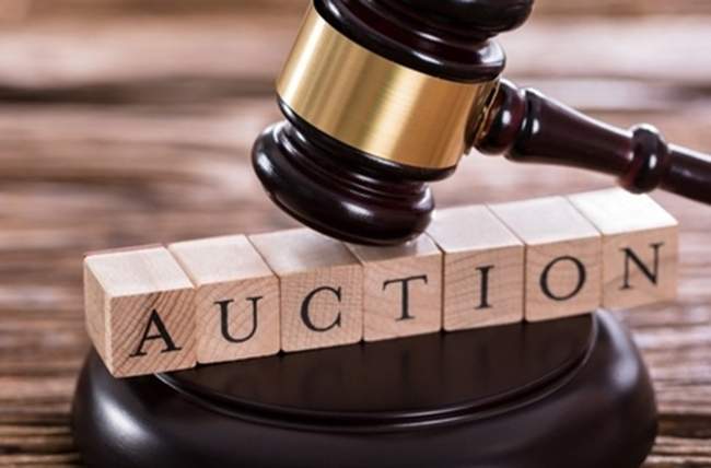 PHOTOS: Zhytomyr.Info