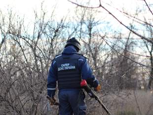 Коштів від ООН не вистачить на повне розмінування Миколаївщини