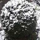 На Одещині пішов квітневий сніг