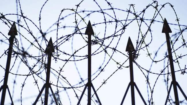 ФОТО: Суспільне