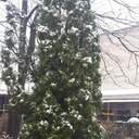 На Одещині пішов квітневий сніг