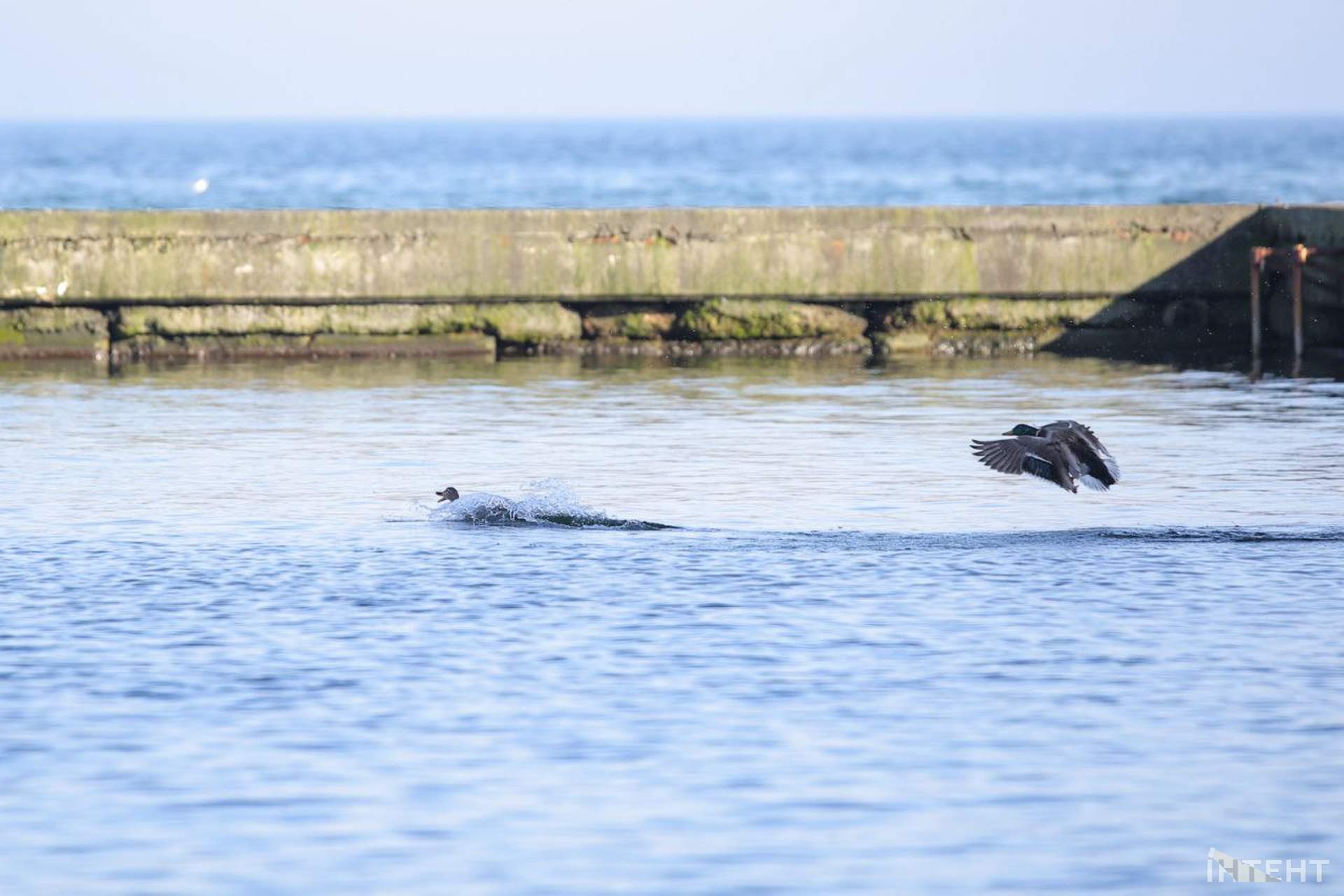 На одеські пляжі прийшла друга воєнна весна