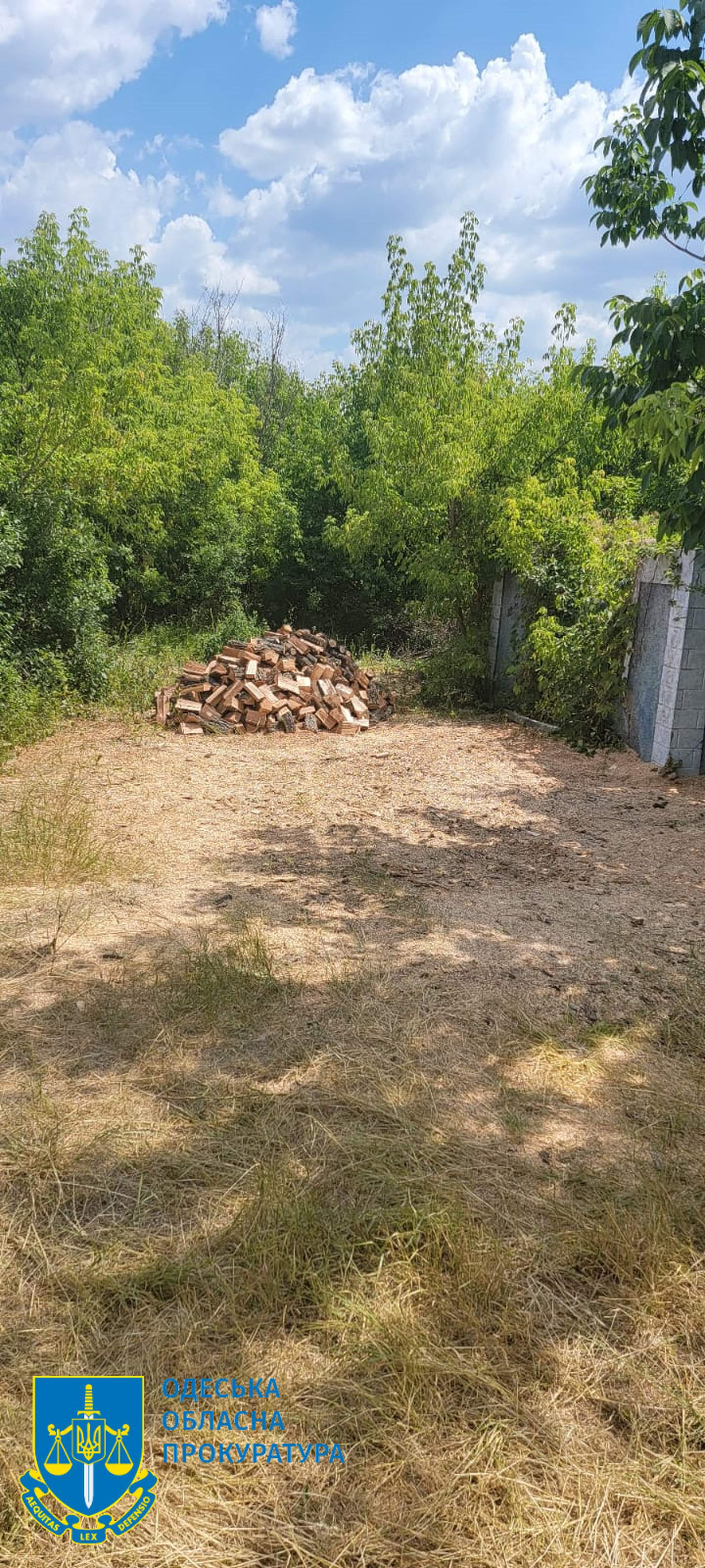 Поліцейський "чорний" лісоруб з подільниками постануть перед судом