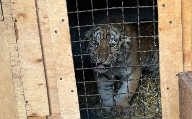 PHOTO: Mykolaiv Zoo