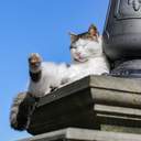 На одеські пляжі прийшла друга воєнна весна