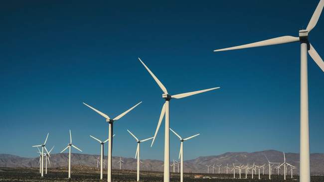 ФОТО: pexels.com