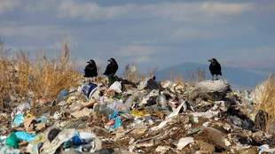 Mykolaiv Mayor Allows Tires to Be Punctured for Creating Landfills