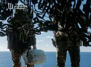 Reconnaissance men evacuate 15 cats from Zmiinyi Island