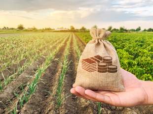 Kherson Community Recovers 80 Hectares Worth ₴2M After Legal Action