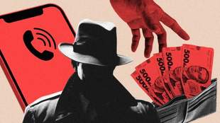 Mykolaiv resident pulls off seed scam and steals millions