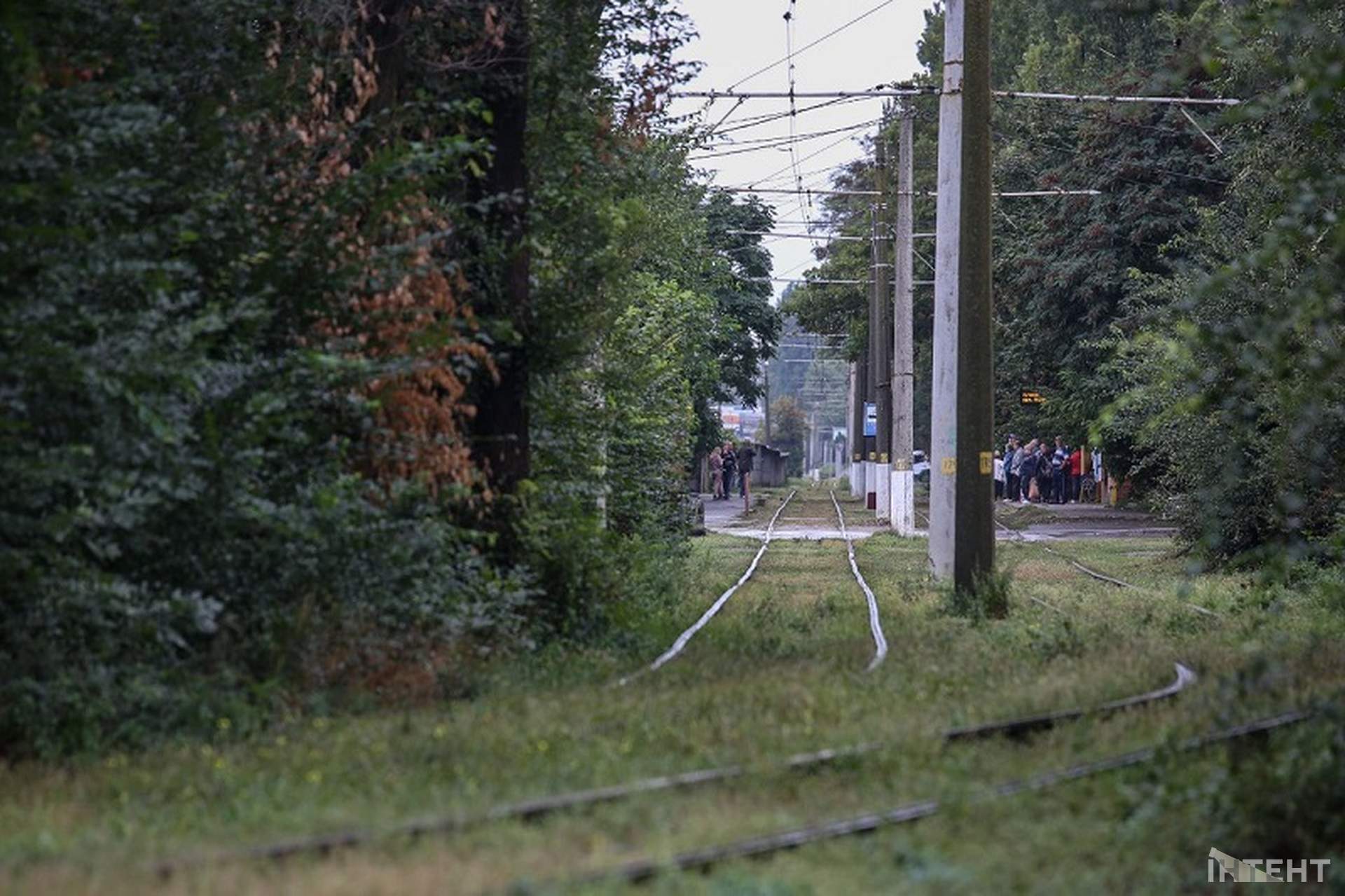 Наслідки негоди в Одесі: зламані гілки та підтоплені вулиці (оновлено)