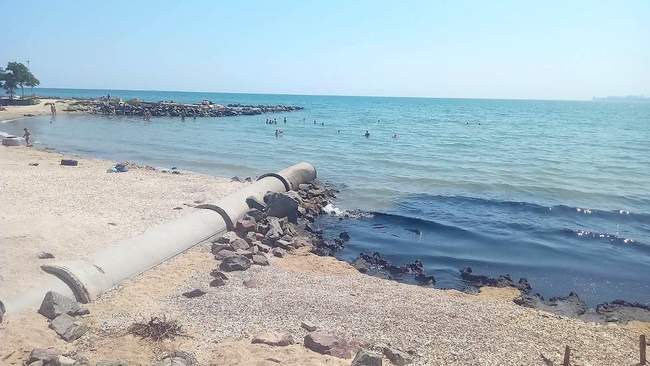 Фото: Державна екологічна інспекція Південно-Західного округу