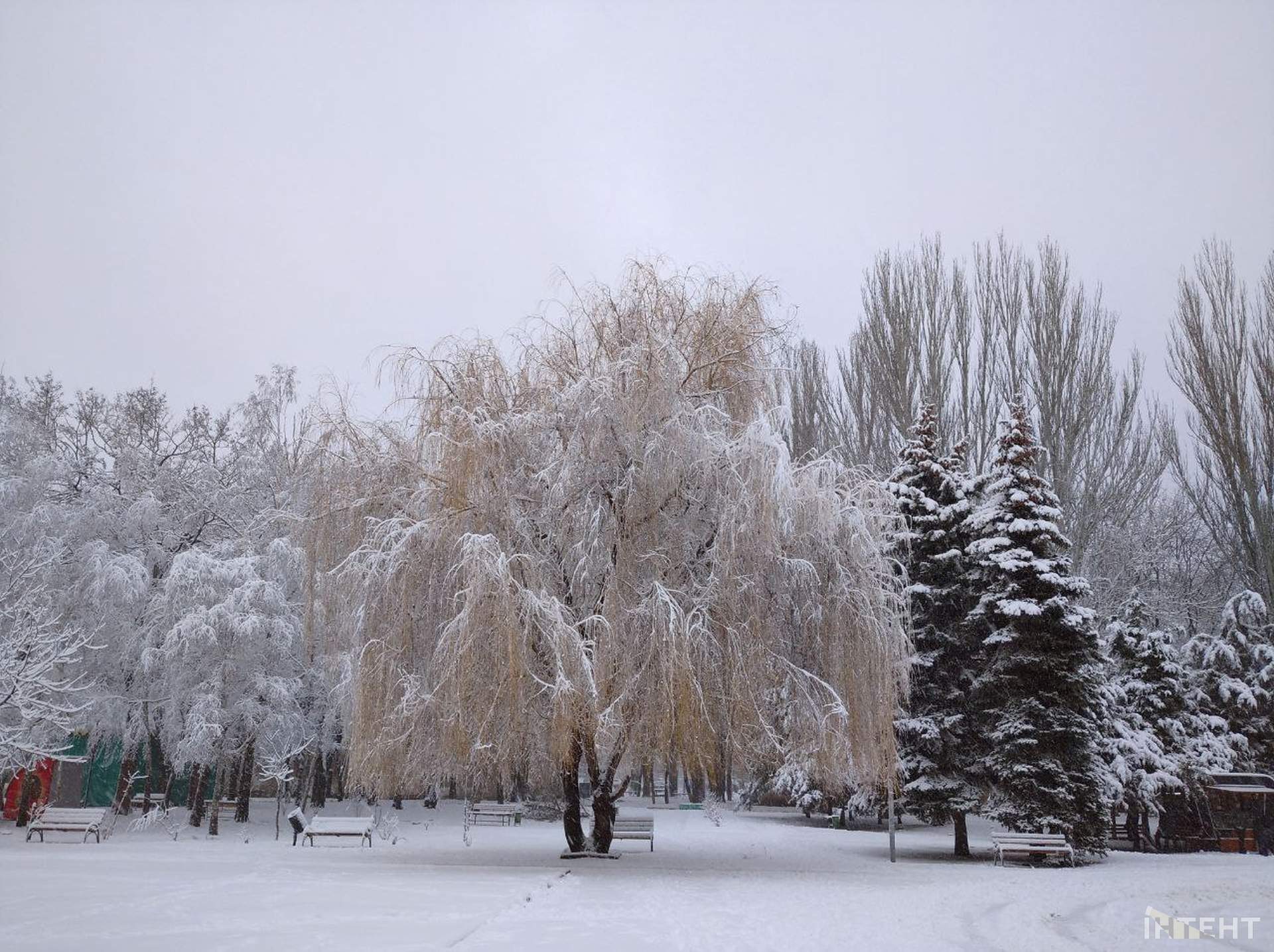 Зимова казка