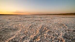 В Одесской области строят новый завод по производству соли