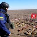 За минулу добу миколаївські піротехніки вилучили 116 небезпечних предметів