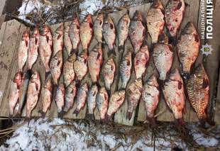 Illegal Fishing in Mykolaiv: Man Caught with 112K in Damages