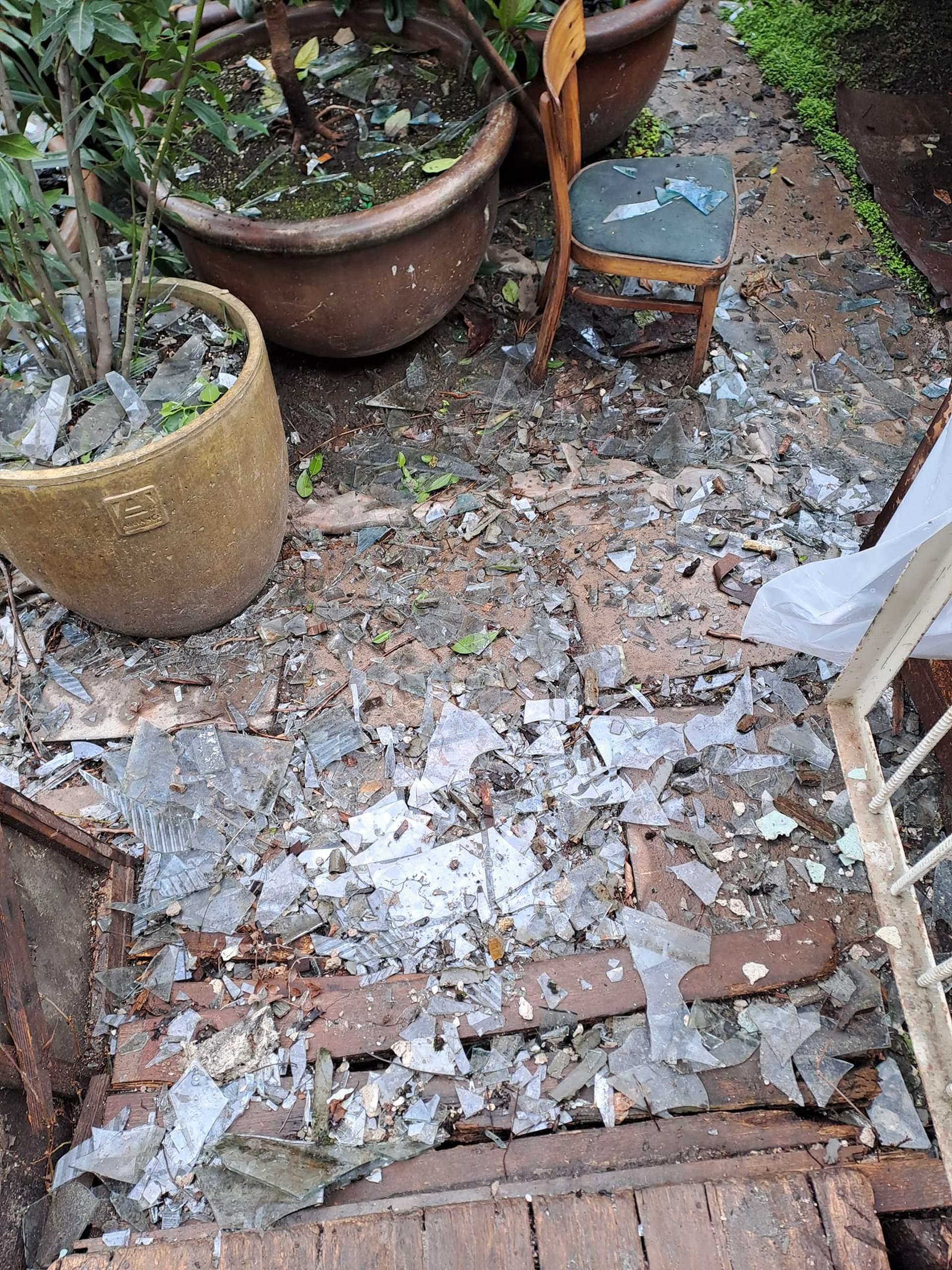 Ботанічний сад постраждав від ракетного удару по Одесі - наслідки