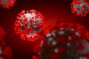 В Одесской области за сутки выявили 66 случаев COVID-19, два человека умерли: Минздрав опасается нового всплеска