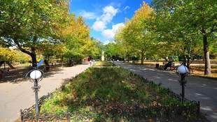 Record amount: maintenance of parks in Mykolaiv will rise 6 times